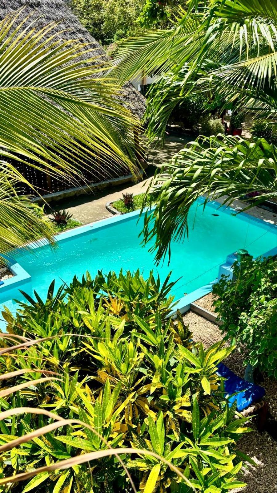 Bed and Breakfast Kilimanjaro Nungwi Esterno foto